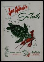 Joe Adeeb's Sea Turtle